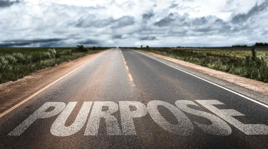 Your Purpose Is Where Your Pain And Passion Intersect